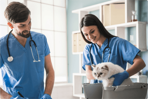 Clinic image with a dog