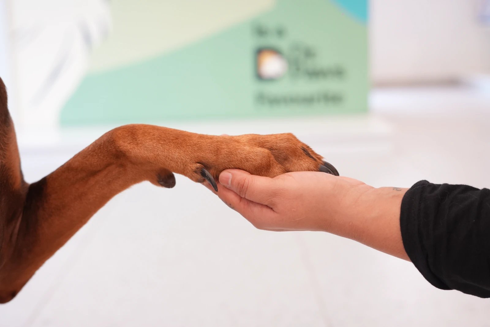 Memberships That Count image