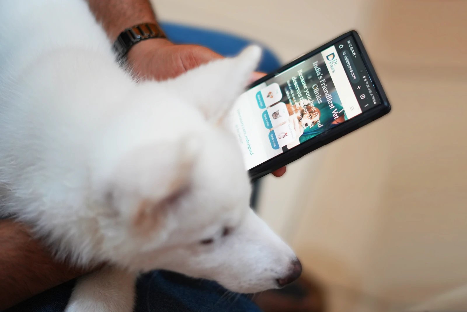 Your Pet’s Health in a Tap image