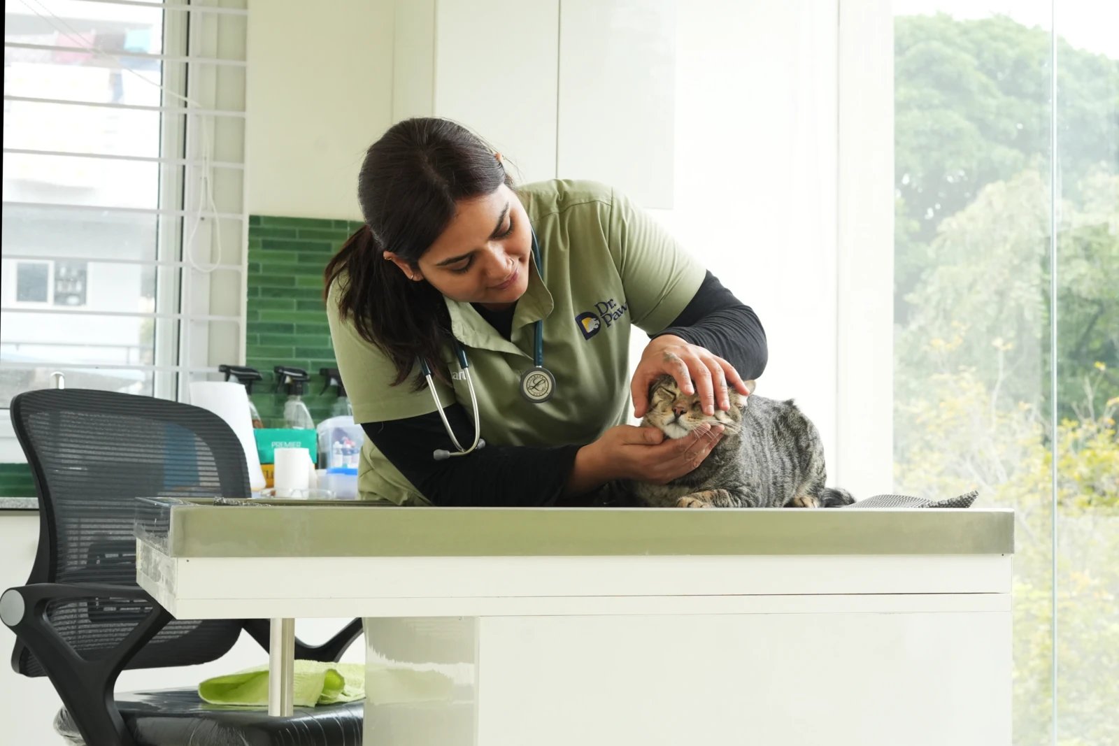 A Space Just for Cats image